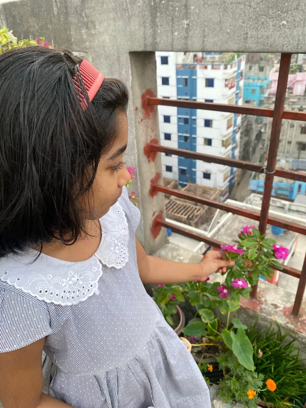 Rooftop life documented across dense Dhaka neighborhoods