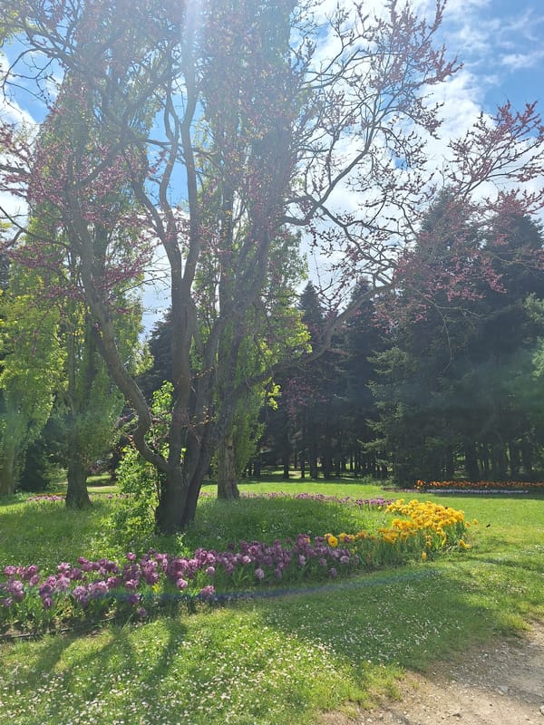 Spring morning walk through Varna botanical gardens documented