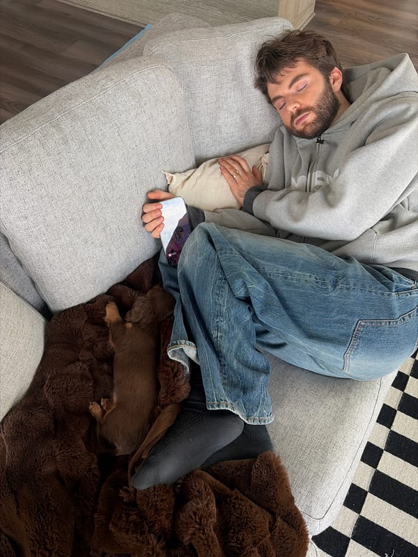 Man sleeps on sofa with dachshund puppy in Montreal