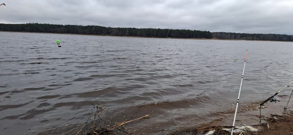 Overcast morning lake scene documented near Reshetnikovo, Russia