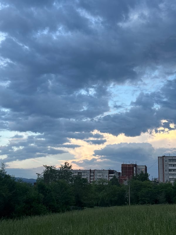 Maine Coon cat watches cloudy afternoon in Sayanogorsk