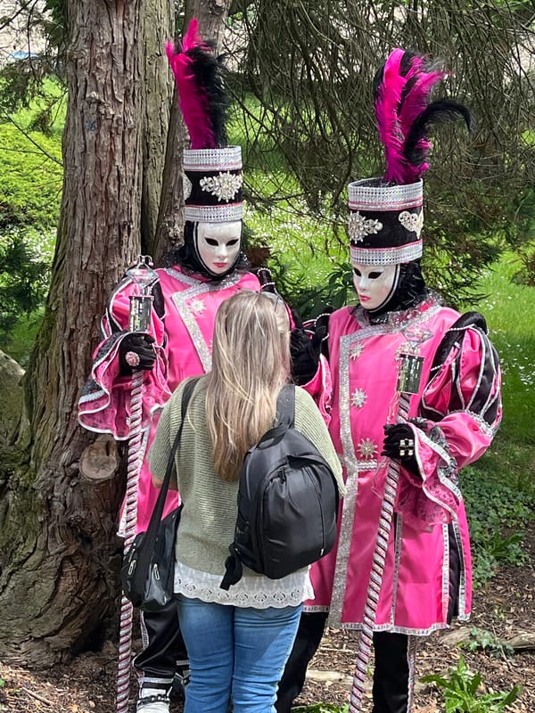 Venetian costume performers and dog owners gather in Saint-Galmier