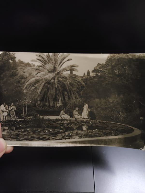 Digitized family archive from Izhevsk spans decades of personal history