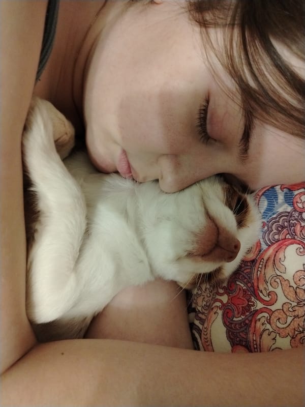 Pets and people at rest in Krasnoyarsk