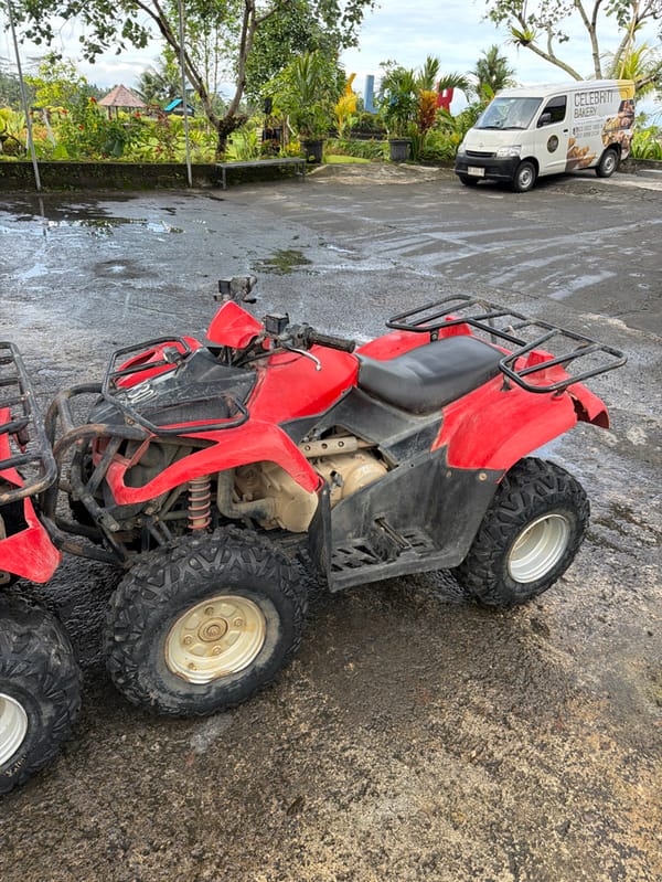 ATV tour group explores diverse Bali terrain near Payangan