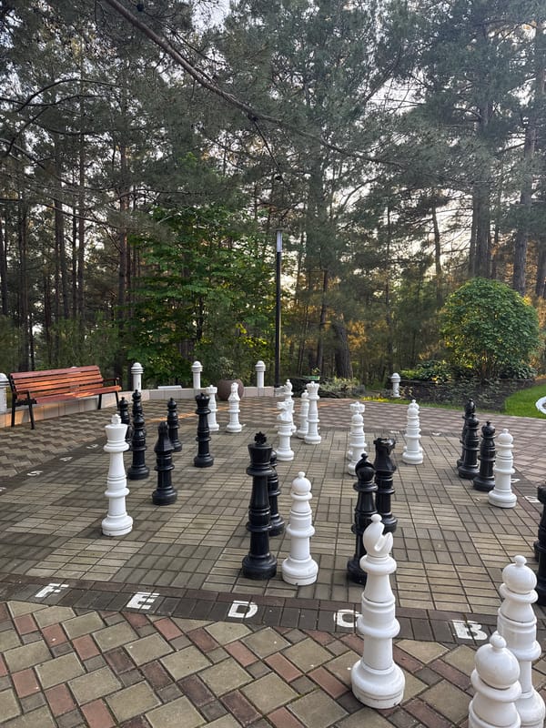 Casual afternoon scenes captured in Sosnovy, Russia coastal area