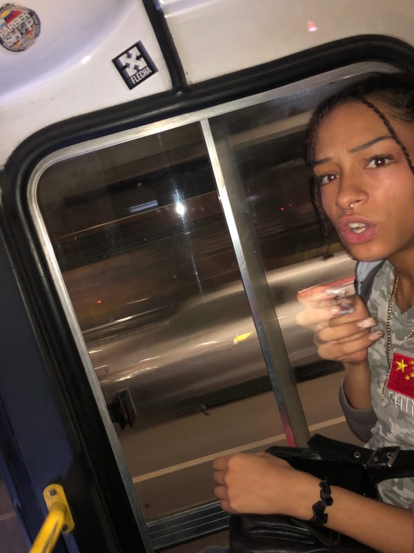 Woman in Chinese-flagged camouflage observed in Buenos Aires vehicle