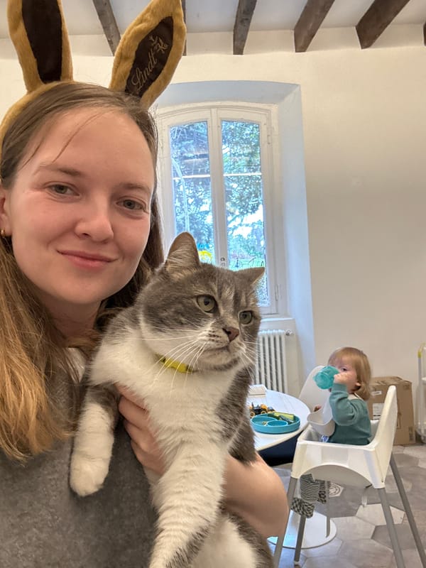 Valentine's Day celebrations documented in Erba, Italy household