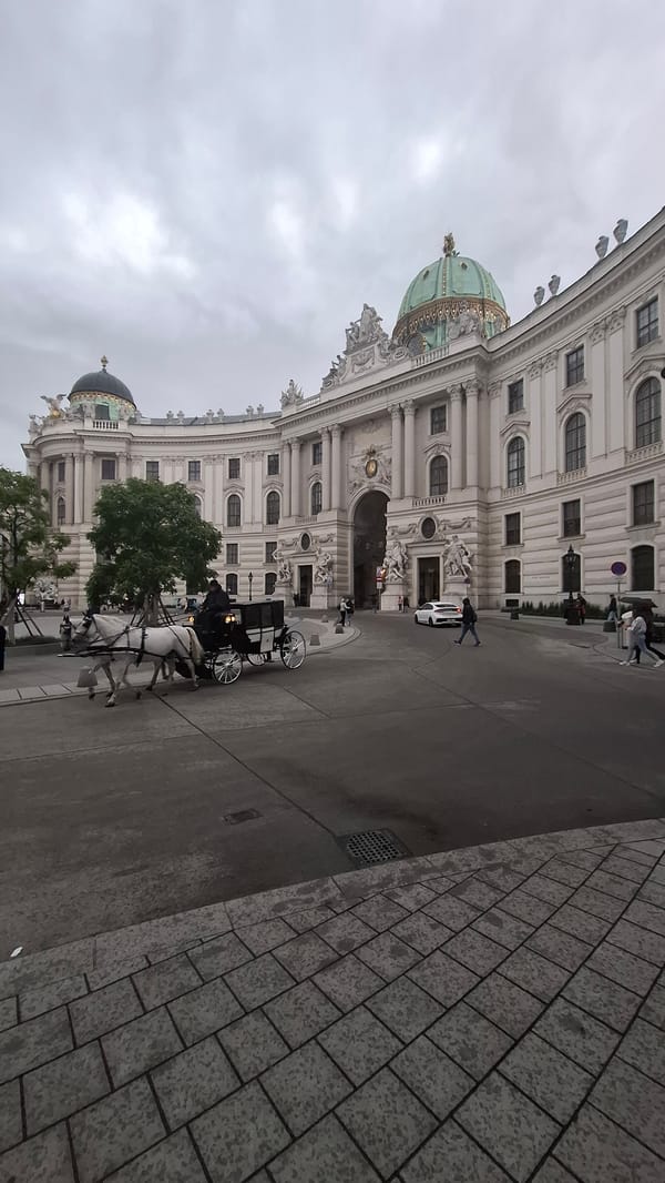 Horse-drawn carriage tours continue near Vienna's Hofburg Palace