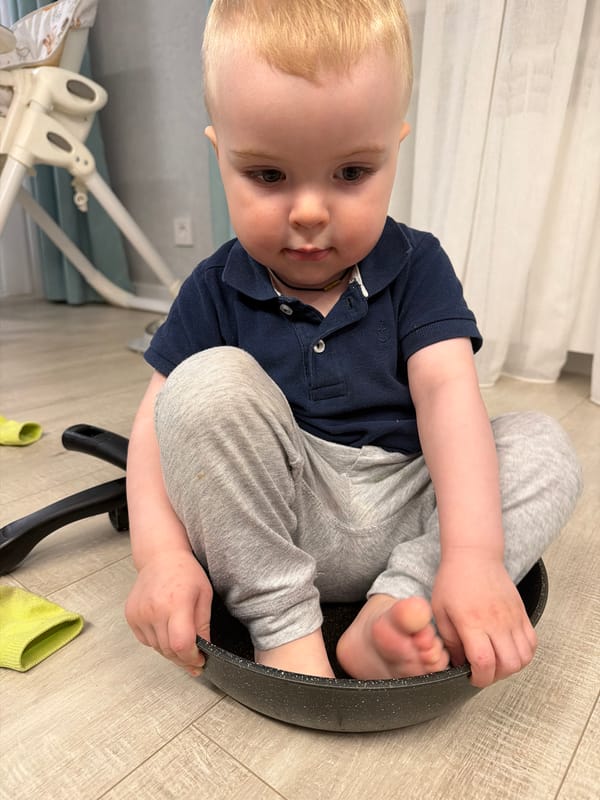 Chihuahua photographed resting on patterned furniture in Votkinsk