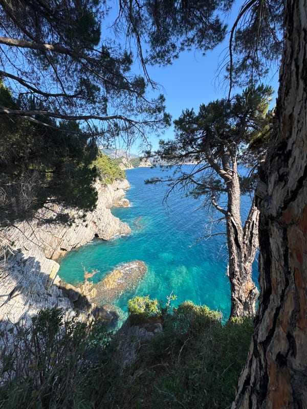 Pine-framed Adriatic views from Petrovac na Moru's clifftop paths