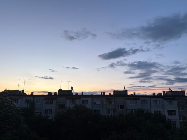 Evening urban memories: twilight buildings, nightclub performances, street cat