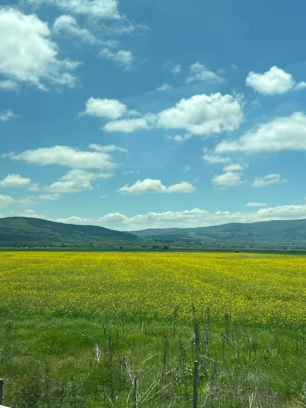 Highway traveler documents rural countryside scenery with fields and mountains