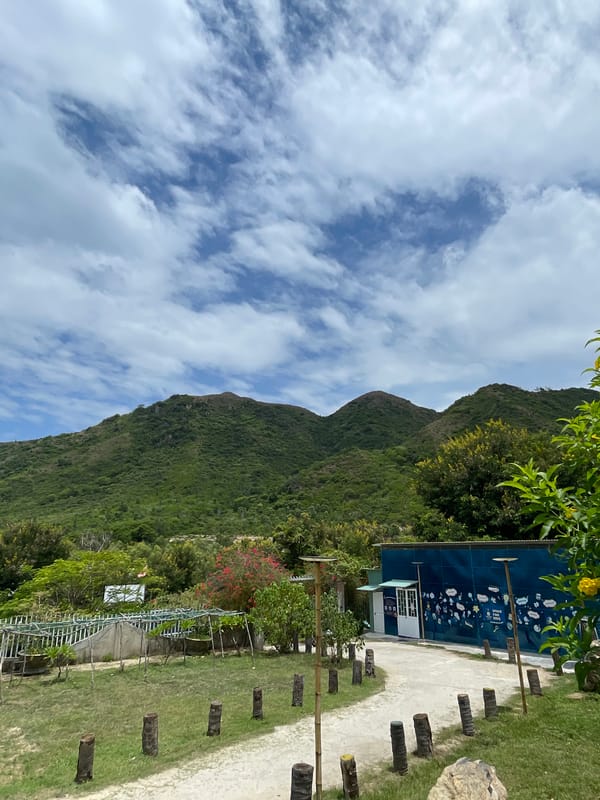 Nha Trang garden café grounds, paths and parked bikes