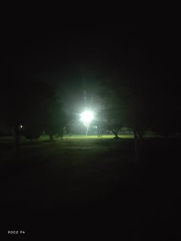 Nighttime scenes around a lit toll booth and roadside greenery