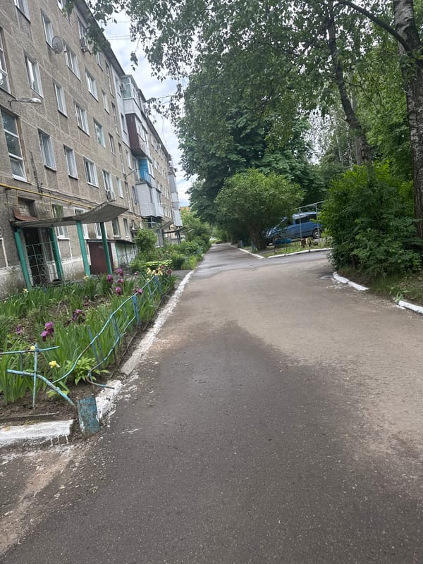 Witness captures ordinary neighborhood moments during overcast afternoon
