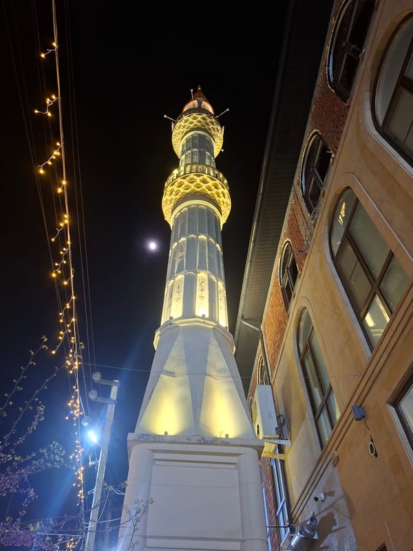 Mixed nighttime scenes captured including Blackpool Tower, residential street