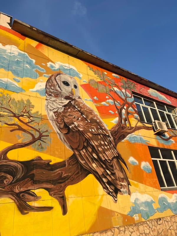 Owl mural spotted on building in Ufa, Russia