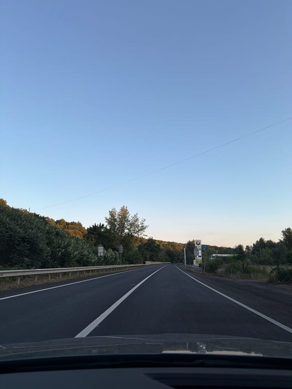 Tree-lined road stretches through Velyki Lazy, Ukraine