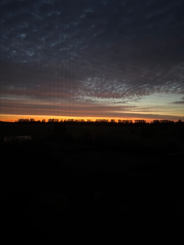 Orange glow and cloud-heavy sky over a Russian treeline