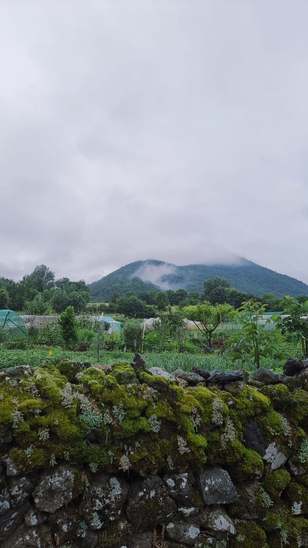 Rural morning captured in Spanish countryside documentation session