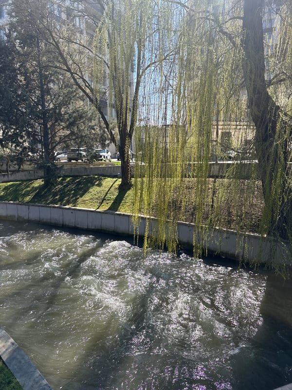 Morning walk documented through central Simferopol's urban landscape