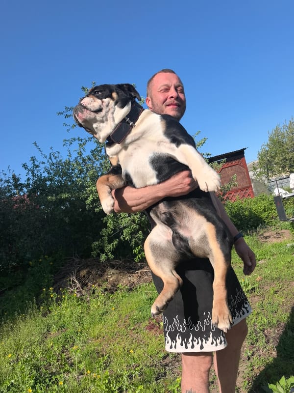 People with bulldogs gather outdoors in Noviy, Russia