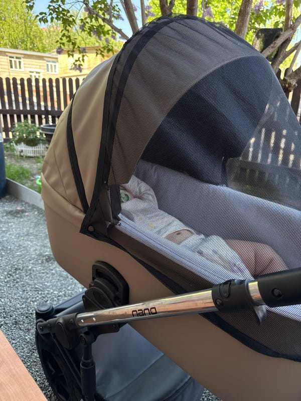 Baby stroller with NANO branding spotted in Kazan