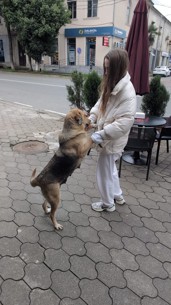 Woman spotted with dog, eating by beach in Kobuleti