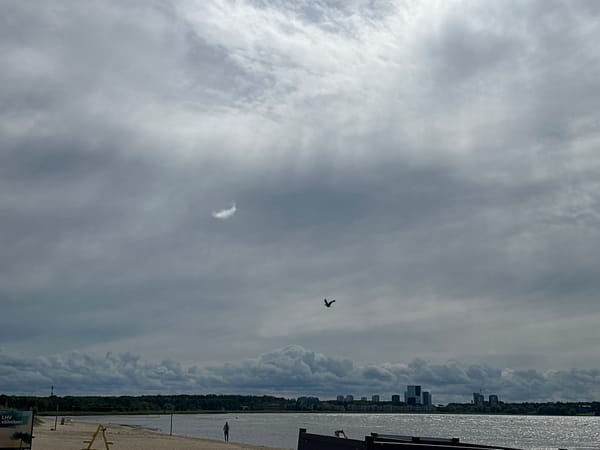 Ordinary beach day documented along Tallinn Bay coastline
