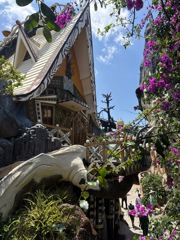 Witness documents Da Lat's Crazy House architectural landmark over morning hours