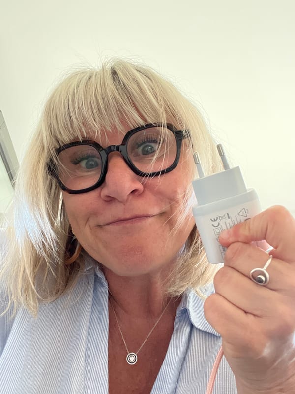 Woman holds electrical plug in Chambœuf, France