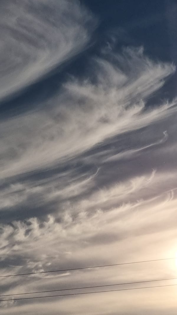 Macro nature and summer skies in rural Vysokoe, Russia