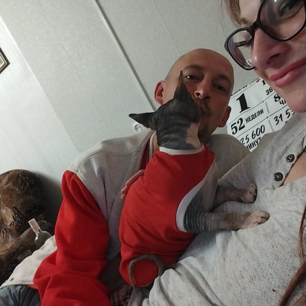 Cozy afternoon with pets and partners at home