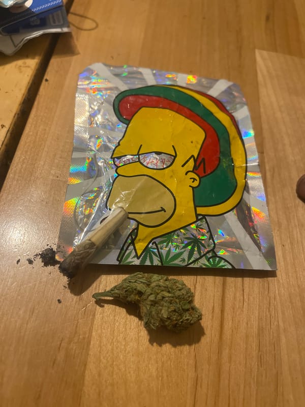 Indoor cannabis session with product shots and selfies