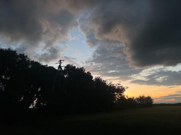 Dusk over Ukrainian fields, with a few indoor screens mixed in