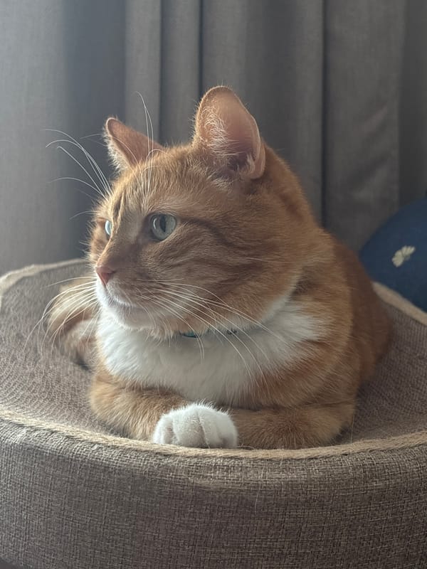 Easter meal celebration documented in Šušanj, Montenegro