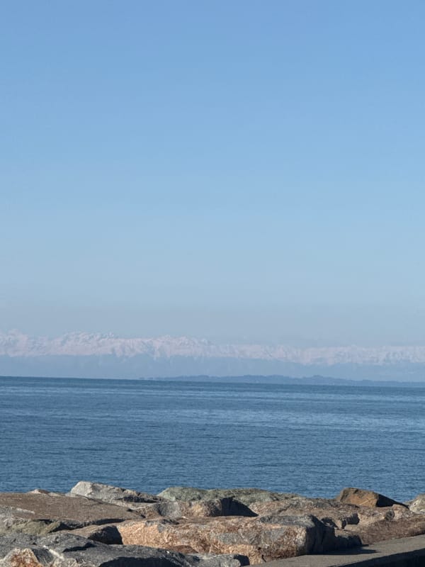 Woman captures sunny coastal moments in Batumi, Georgia