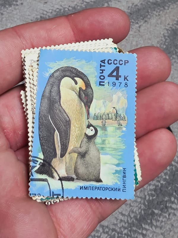 Person examines vintage Soviet animal stamps in Varna