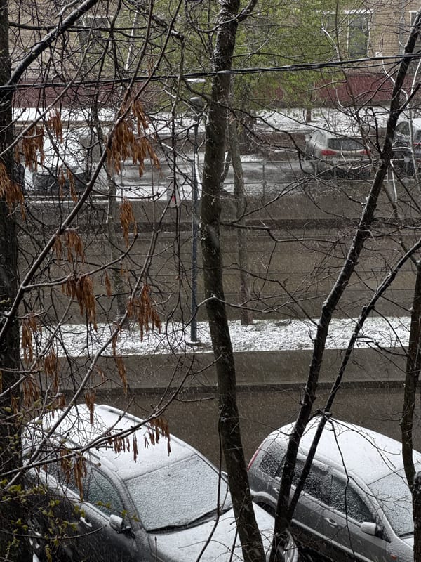 Late spring snowfall blankets Khimki, Russia in April