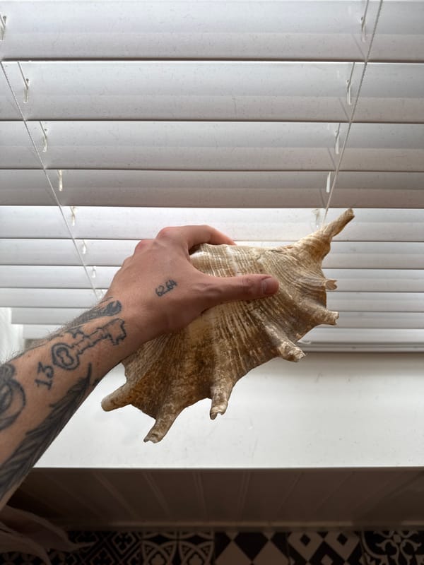Tattooed person holds conch shell by window in Hitchin