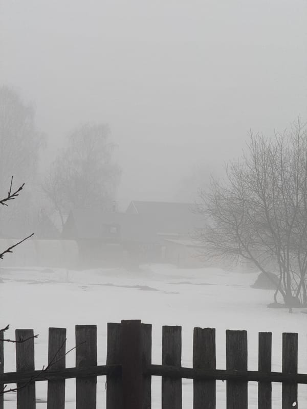 Foggy spring day documented in rural Garevaya, Russia