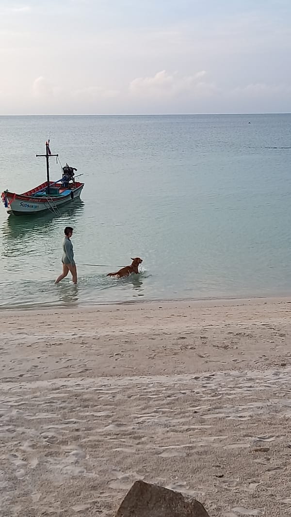 Beach life continues on Koh Phangan island, Thailand