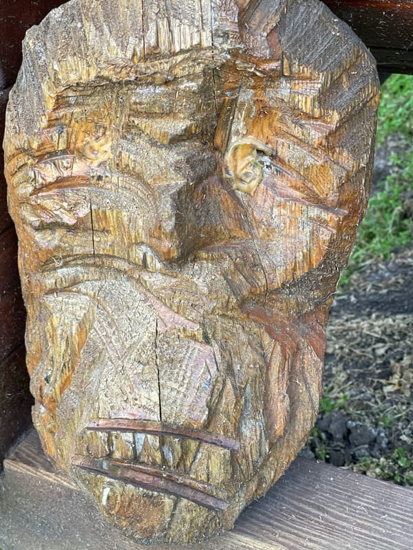 Everyday details from a Jelgava afternoon: gardens, animals, carvings
