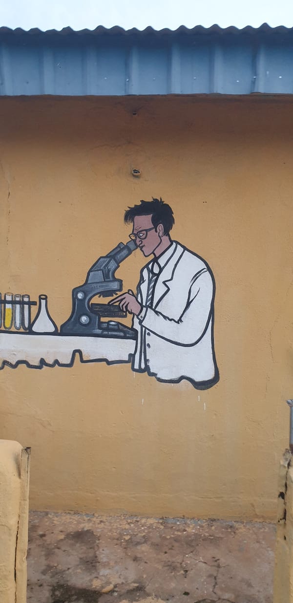 Professional figure mural documented in Sabon Tasha, Nigeria
