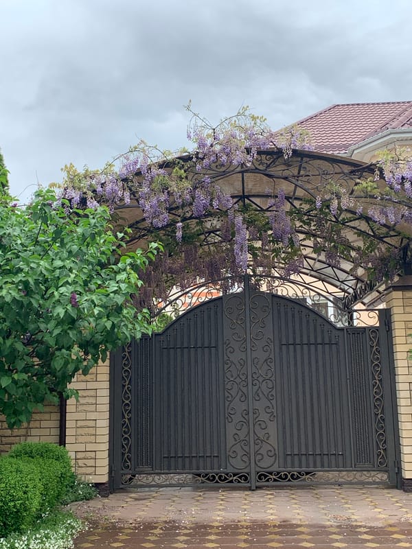 Morning rain aftermath documented across Stavropol residential areas