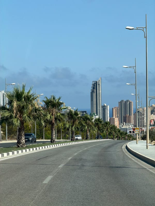 Palm-lined coastal road leading into Finestrat's city skyline