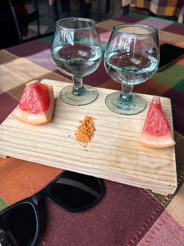 Wine glasses and grapefruit wedges arranged on wooden board
