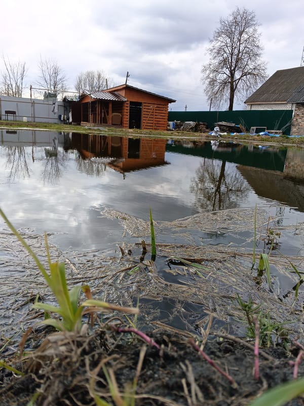 Spring morning documented in rural Andreyevo, Russia