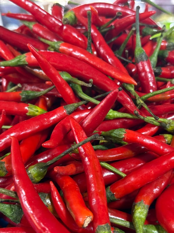 Fresh chili peppers piled high at a Wichit produce stall